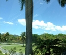 Фото The Woods at Palmas del Mar
