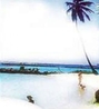 Фото Le Panoramic Trois Ilets
