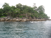 Raya Island