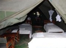Фото Enchoro Wildlife Camp Tents Masai Mara
