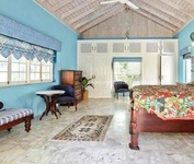 Paradise Birds Eye View
