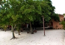 Фото Grand Beach Motel