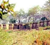 Mara Simba Lodge