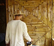 Finca Neblina del Bosque Finca Neblina del Bosque