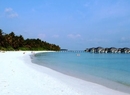 Фото Sun Island Resort
