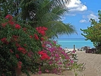 Secrets Cabins on Negril Beach Secrets Cabins on Negril Beach