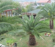 Krienko Residence