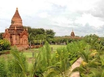Thazin Garden