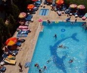 Albatros Apartments