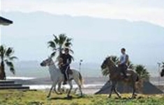 Del Bono Beach Bahia de Las Tablas