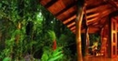 Фото Playa Nicuesa Rainforest Lodge