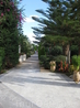 Cretan Malia Park-лучший отель Малии