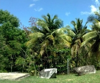 Фото отеля Palmas Plantation at Palmas del Mar