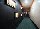 Фото Gallerya
