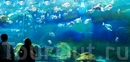 Критский морской аквариум