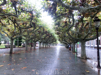 Бургос оказался очень зеленым городом, в центр города мы шли по красивейшей аллее платанов, El Paseo del Espolón.