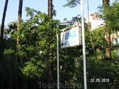 вход в отель Merhaba (в центре Алании) - славен своей зеленой территорией