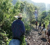 Cubanacan Punta Piedra