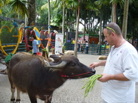 Нонг Нуч.Зоопарк. Нонг Нуч.Зоопарк.