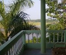 Фото Jungle Wildlife Camp