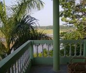 Jungle Wildlife Camp
