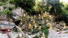 Множество статуй Будды.