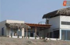 Irish House