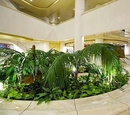 Фото Regency Club Madeira