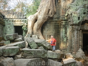 Храмы на шагающих деревьях,Ангкор Ват,Камбоджа