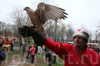 … пернатого актёра!