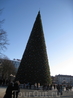 Новогодняя елка на центральной площади