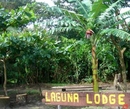 Фото Laguna Lodge