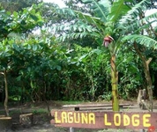 Laguna Lodge