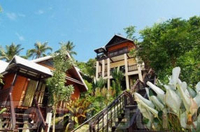 Фото отеля Phitharom PP Resort