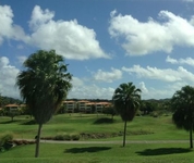 The Woods at Palmas del Mar
