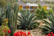 Chogogo Resort