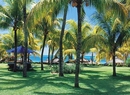 Фото Royal Palm