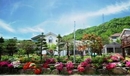 Фото Daegwalnyeong Snow Pension