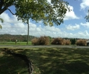 Фото The Woods at Palmas del Mar