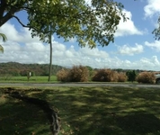 The Woods at Palmas del Mar