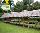 Фото Botanical Lodge