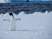 Антарктида 2015