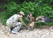 Фото практически подпольное. Украинцы не разрешают снимать птичку без гривен...