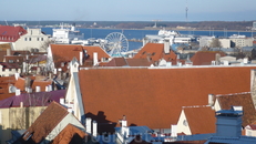 красные крыши,синее море...это тоже Таллинн.