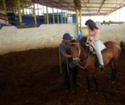 Finca Hotel Paso Fino Finca Hotel Paso Fino