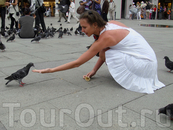 голуби на площади Сан Марко