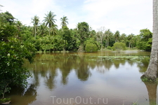 Остров Рая Остров Рая