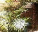Фото Hostal Provincia Valledupar