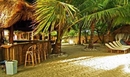 Фото Coopers Beach Resort