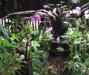 Orchid Garden Eco-Village